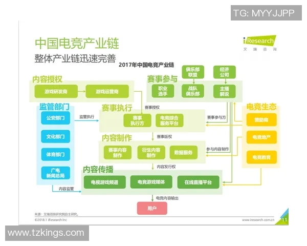 成都排球队节奏表现分析：数据揭示球队竞技状态与战术调整的关系