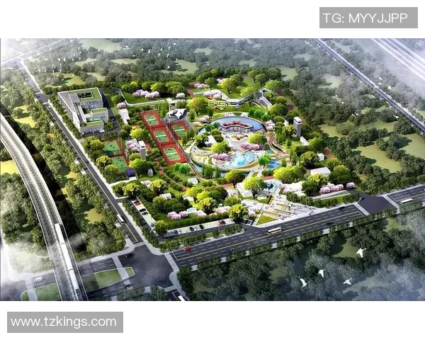 武汉网球队个人能力分析与表现评估的深度研究与探讨